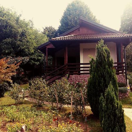 Sunny Paradise Bihać Exterior foto